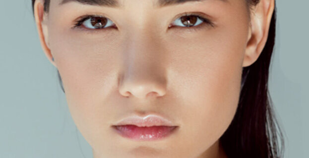 Picture Perfect Plus