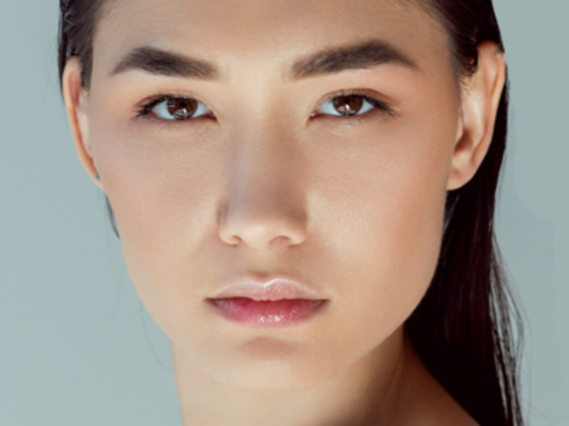 Picture Perfect Plus